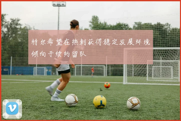 特尔希望在热刺获得稳定发展环境倾向于续约留队