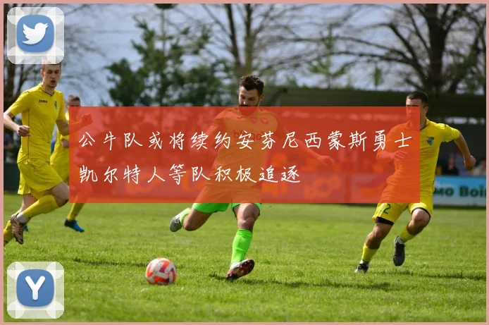 公牛队或将续约安芬尼西蒙斯勇士凯尔特人等队积极追逐